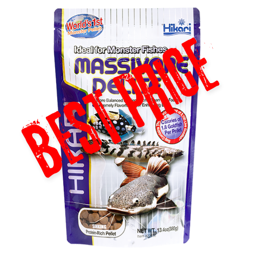 Massivore Delite® Massivore Delite®