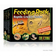 Feeding Rock - Reptile Cricket Feeder