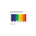 ARCADIA T5 UVB MAX KIT SHADEDWELLER 2.5% UVB 14W