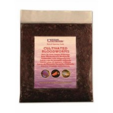 Cultivated Bloodworms - 454g