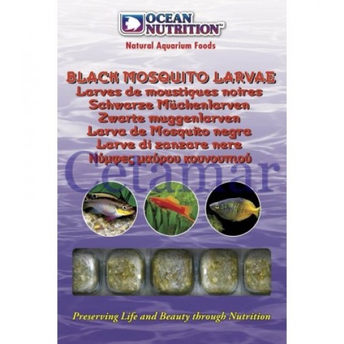 Larvas de mosquito preto Larvas de mosquito preto