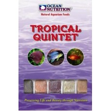 Quinteto Tropical