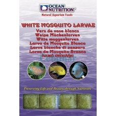 Larvas brancas de mosquito