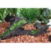 Fluval Madeira e musgo
