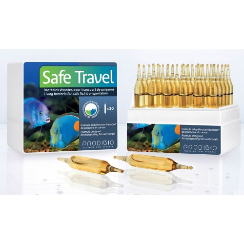 Safe Travel - Vários Tamanhos