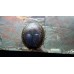 Potamotrygon leopoldi - Black Diamond