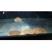 Potamotrygon scobina - Mosaic Stingray