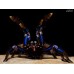 Chilobrachys natanicharum - Electric Blue Tarantula