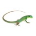 Gastropholis prasina - Green Keel-Bellied Lizard
