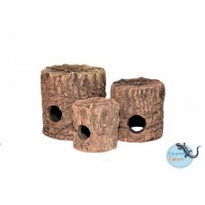 Tocas para ciclideos